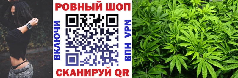 Купить АМФЕТАМИН  Галлюциногенные грибы  COCAIN  A PVP  Меф мяу мяу  Новодвинск