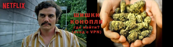 стафф Волоколамск