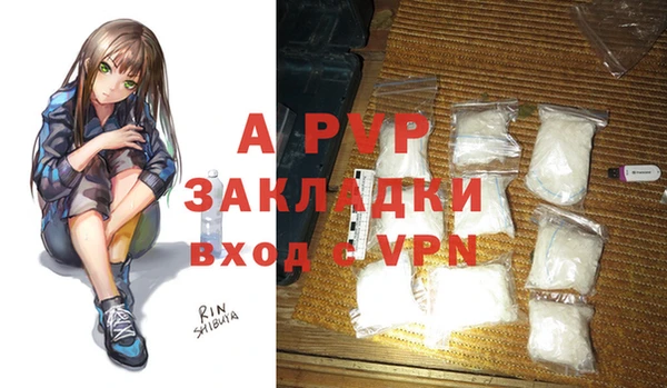 крисы Шали