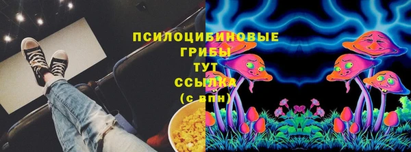 2c-b Шадринск