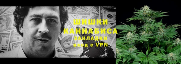 стафф Волоколамск