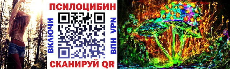 Галлюциногенные грибы ЛСД  Купить где  Новодвинск 